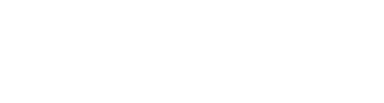 logo img